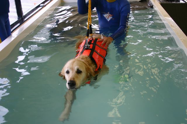 ファイル 166-2.jpg