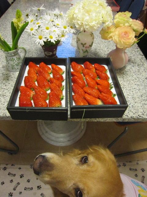 ファイル 1664-1.jpg