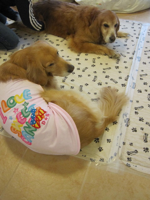 ファイル 1664-3.jpg