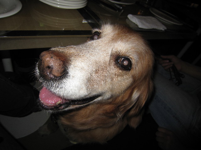 ファイル 1665-5.jpg