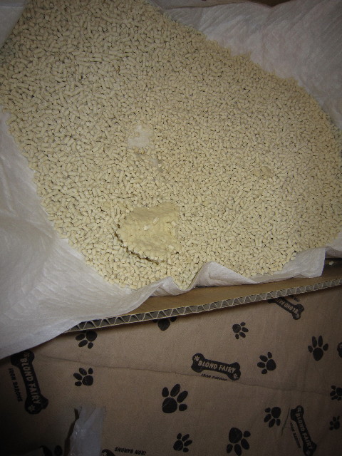 ファイル 1667-3.jpg