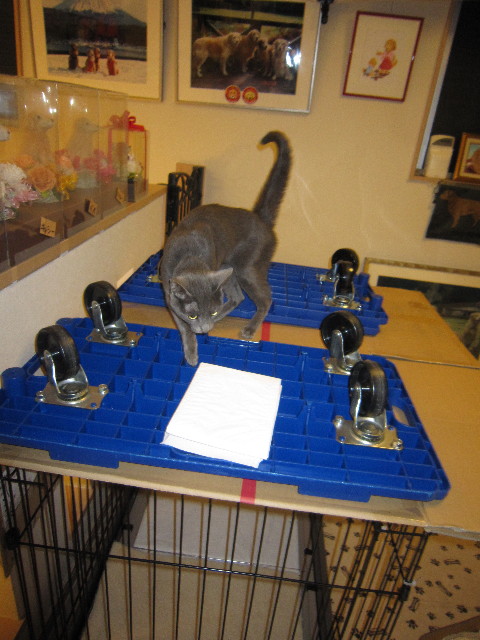 ファイル 1667-5.jpg