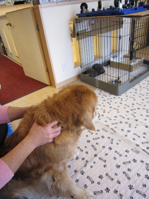 ファイル 1668-3.jpg