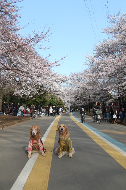 ファイル 1671-1.jpg