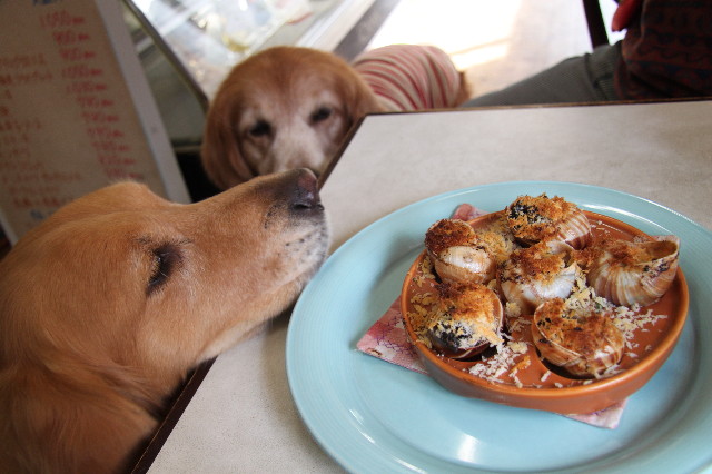 ファイル 1674-1.jpg