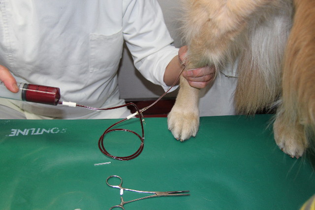 ファイル 1675-4.jpg