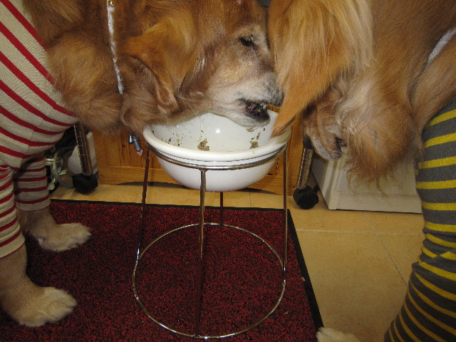 ファイル 1677-1.jpg