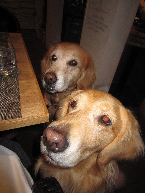 ファイル 1679-3.jpg