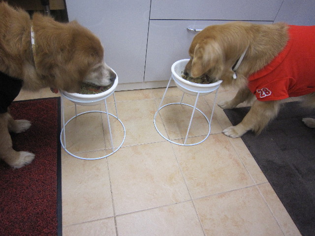 ファイル 1686-5.jpg