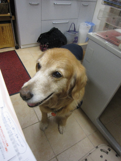 ファイル 1688-1.jpg