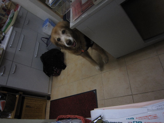 ファイル 1688-2.jpg