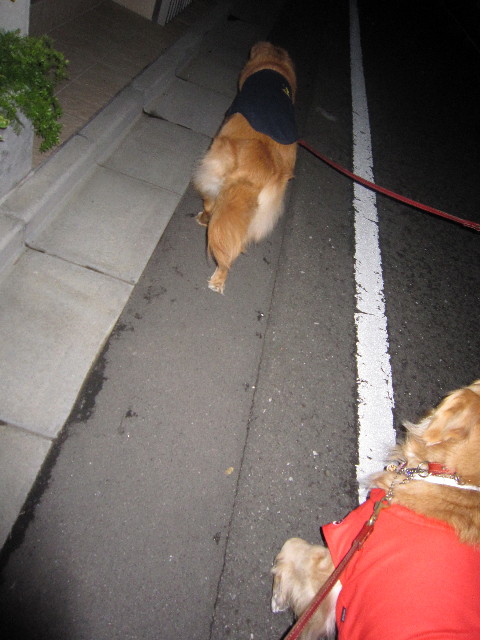 ファイル 1688-4.jpg