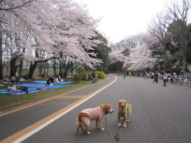 ファイル 1689-3.jpg