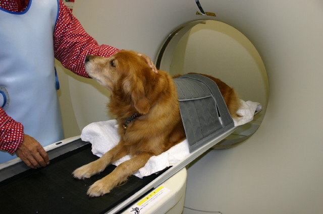 ファイル 169-1.jpg