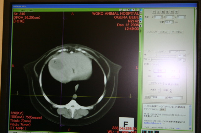 ファイル 169-3.jpg