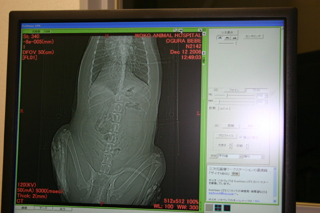 ファイル 169-4.jpg