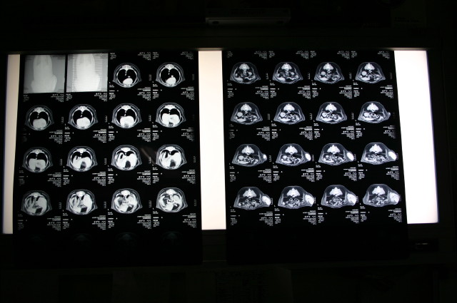 ファイル 169-5.jpg