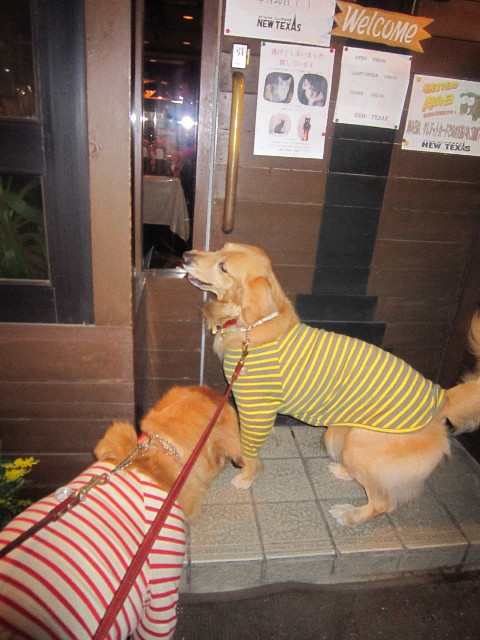 ファイル 1691-1.jpg