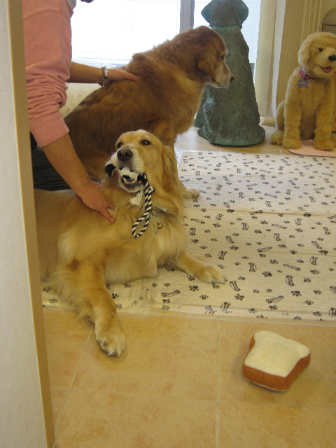 ファイル 1692-1.jpg