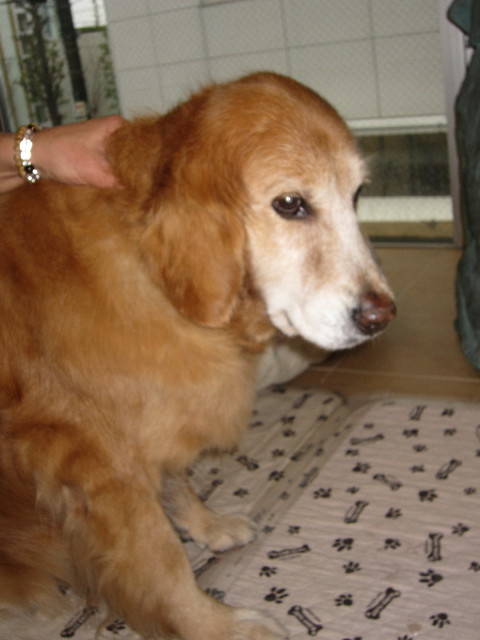 ファイル 1692-3.jpg