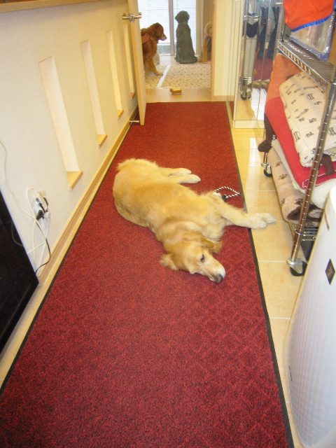 ファイル 1692-4.jpg