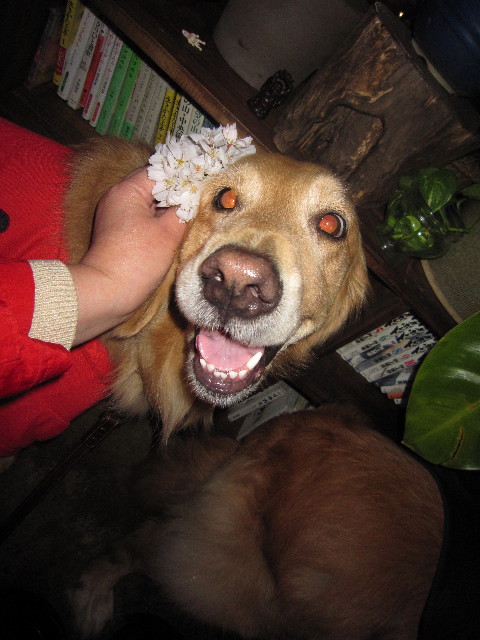 ファイル 1692-5.jpg