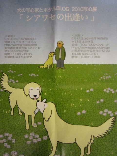 ファイル 1693-1.jpg