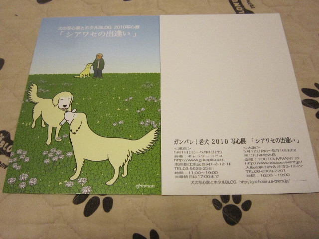 ファイル 1693-2.jpg