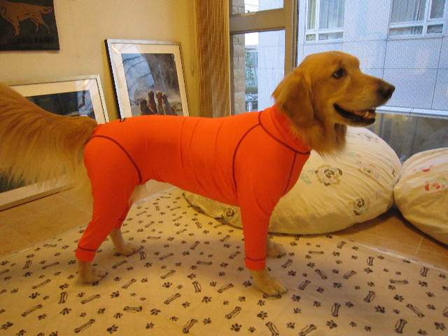 ファイル 1693-4.jpg