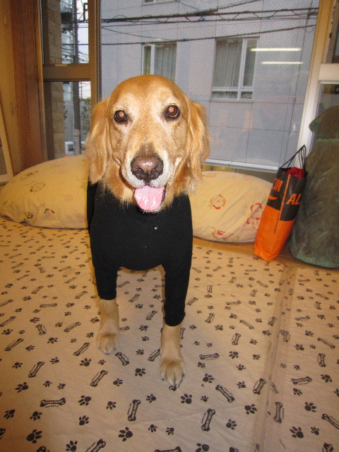 ファイル 1693-5.jpg