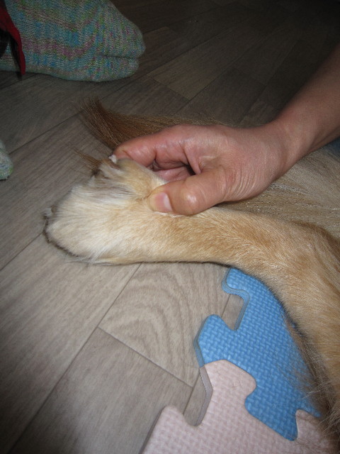 ファイル 1694-2.jpg