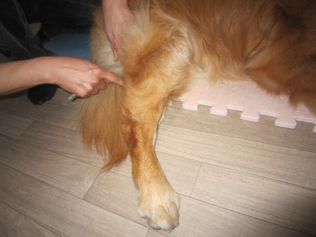 ファイル 1694-4.jpg