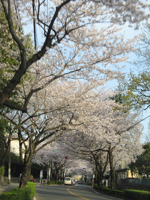 ファイル 1695-2.jpg