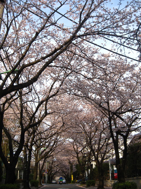 ファイル 1695-3.jpg