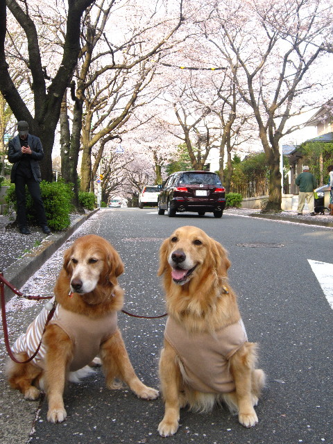 ファイル 1695-4.jpg