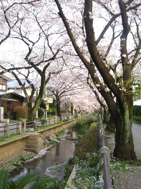 ファイル 1696-4.jpg