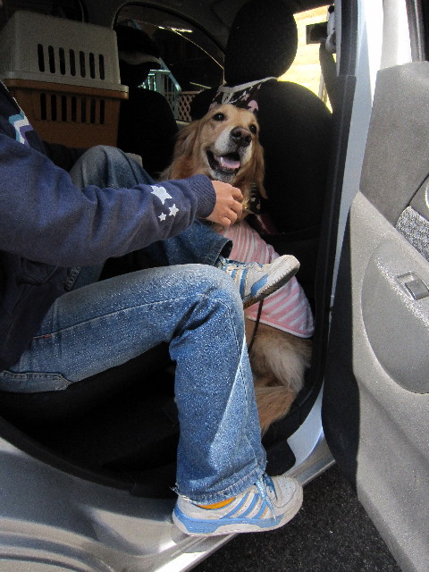 ファイル 1699-1.jpg