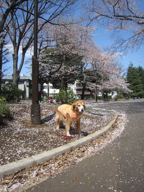 ファイル 1699-2.jpg