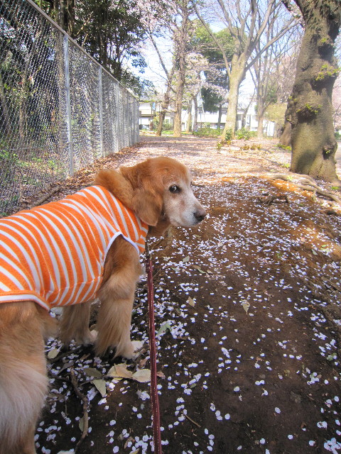 ファイル 1699-3.jpg