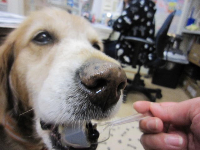 ファイル 1700-5.jpg