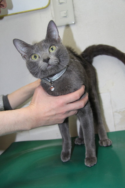 ファイル 1702-1.jpg