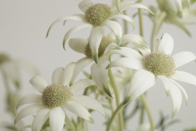 ファイル 1703-2.jpg