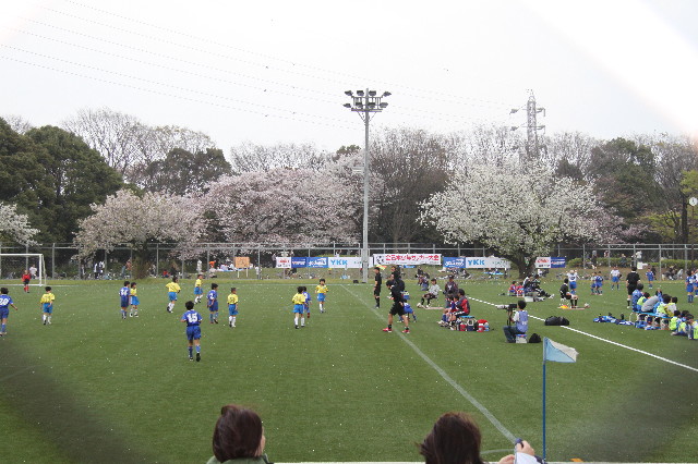 ファイル 1705-4.jpg