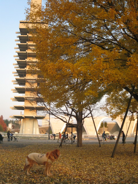 ファイル 171-1.jpg