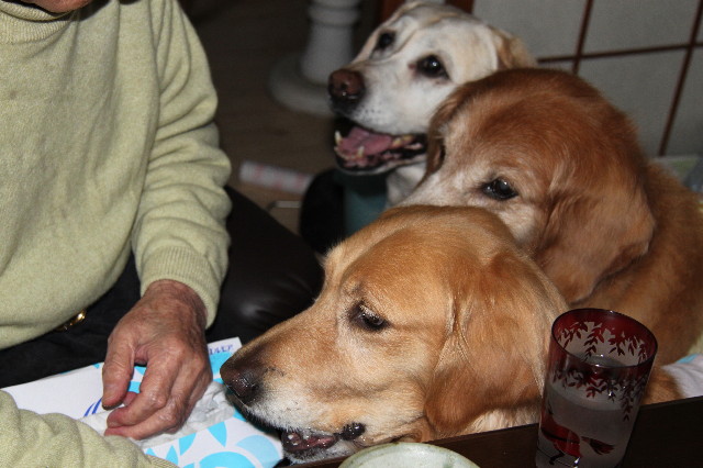 ファイル 1711-3.jpg