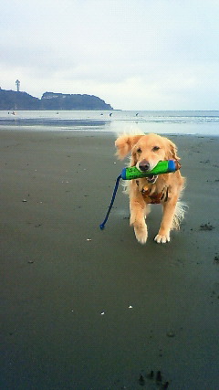 ファイル 1715-5.jpg