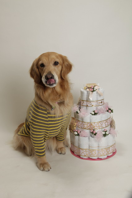 ファイル 1720-2.jpg