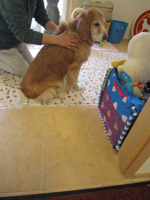 ファイル 1723-3.jpg