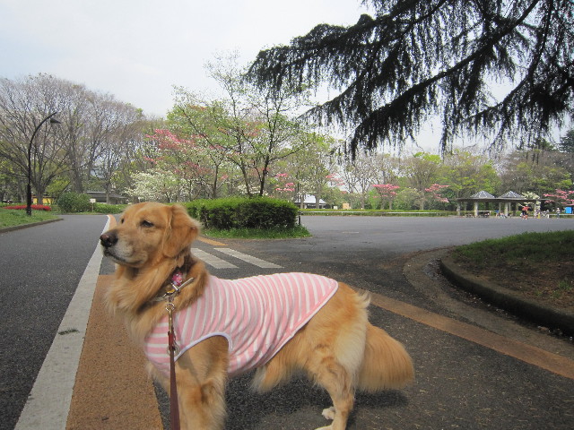 ファイル 1725-4.jpg