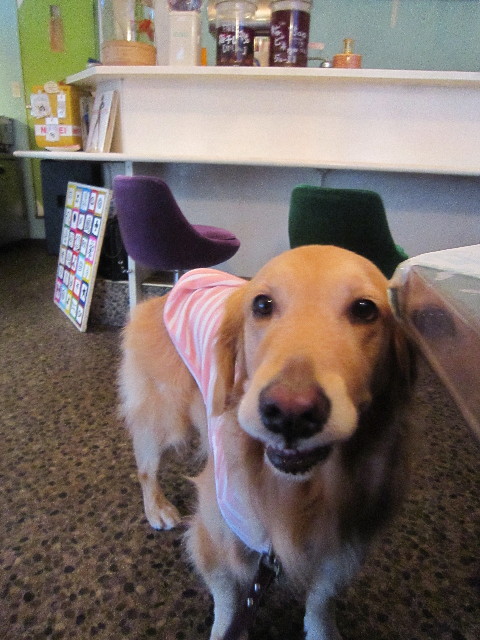 ファイル 1727-5.jpg